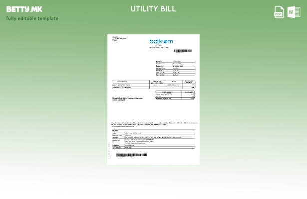 Модерен стил Латвија Baltcom шаблон за комунални сметки за телекомуникациски усл